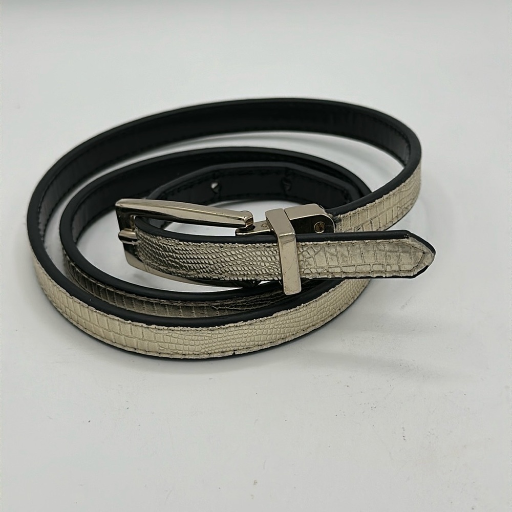 Express thin metallic belt, size M